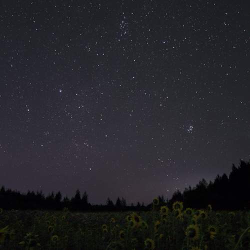 Photo #12621814