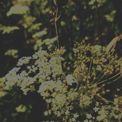 Photo #12622110