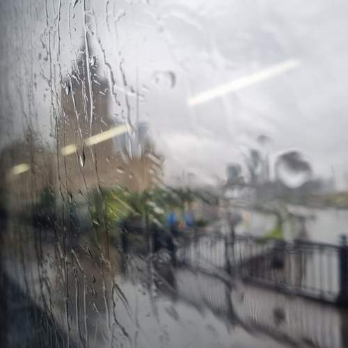 Photo #12622555