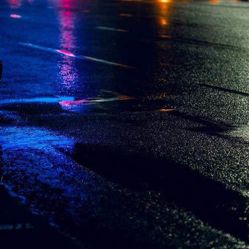Photo #12622708