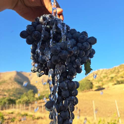 Photo #12622762