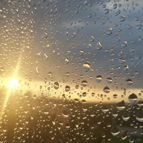 Photo #12622772