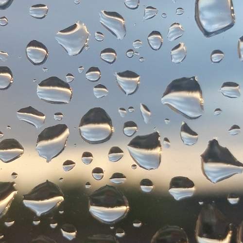 Photo #12622773