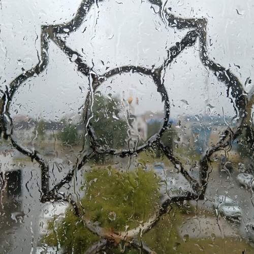 Photo #12623487