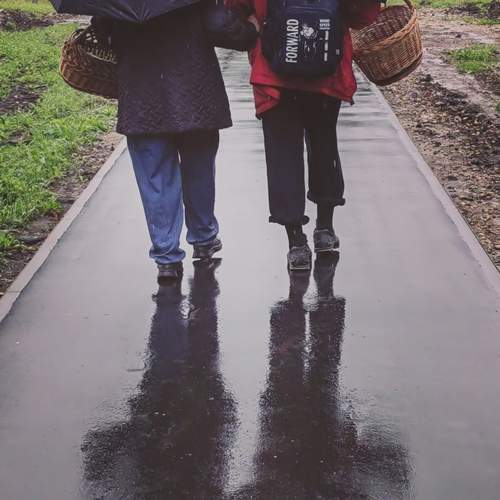 Photo #12623505