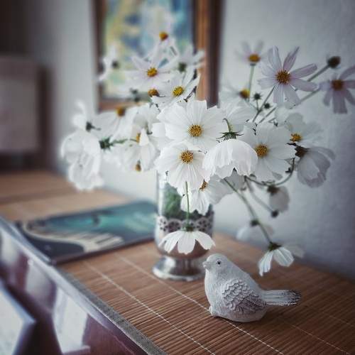 Photo #12623705
