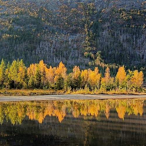 Photo #12623957