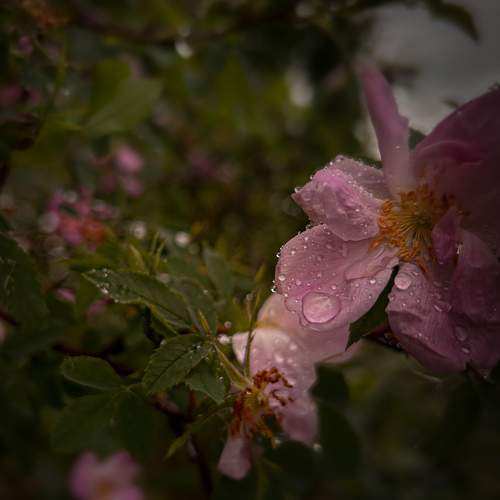 Photo #12623992
