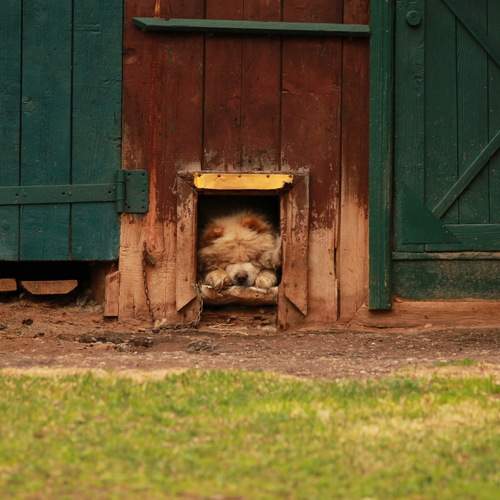 Photo #12624168
