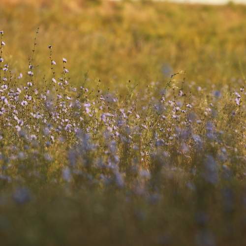Photo #12624189