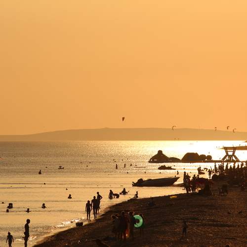 Photo #12624196