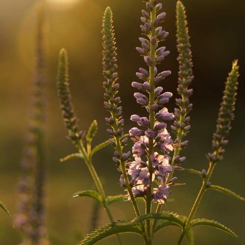 Photo #12624219