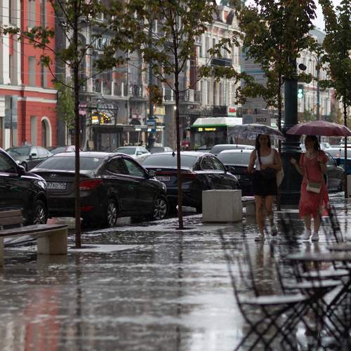 Photo #12624288