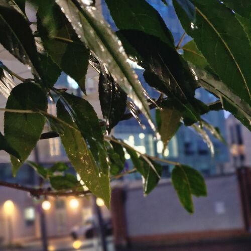 Photo #12624439