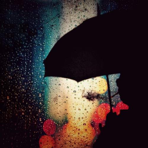 Photo #12625050