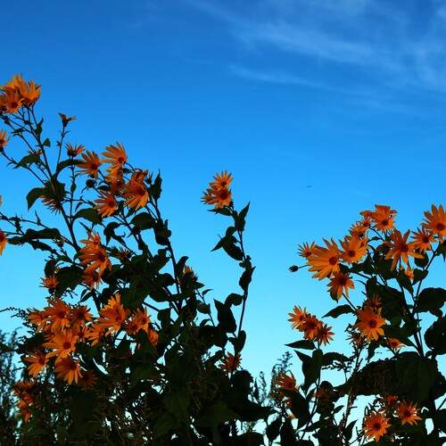 Photo #12625228