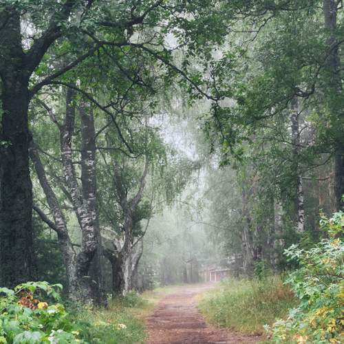 Photo #12625329