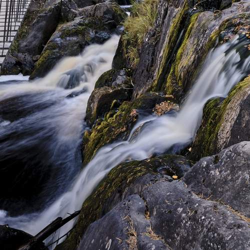 Photo #12625788