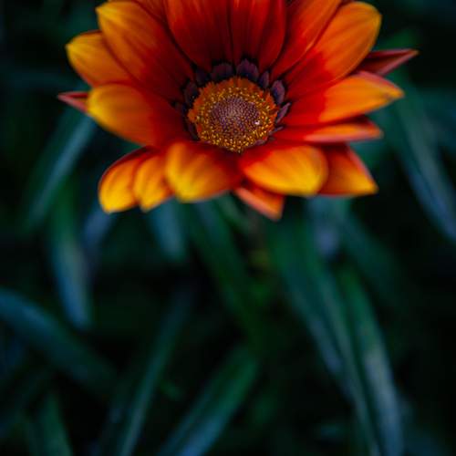 Photo #12626055