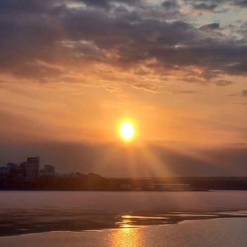Photo #12626114