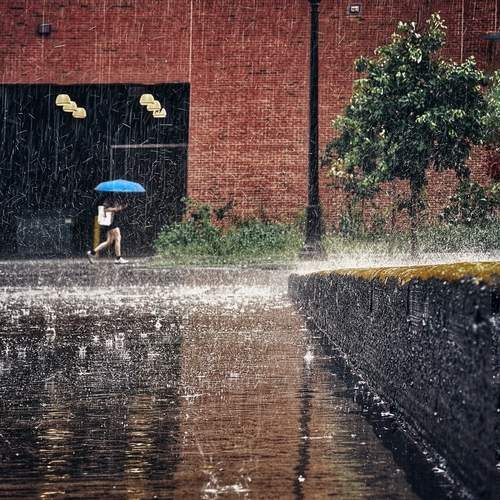 Photo #12626248