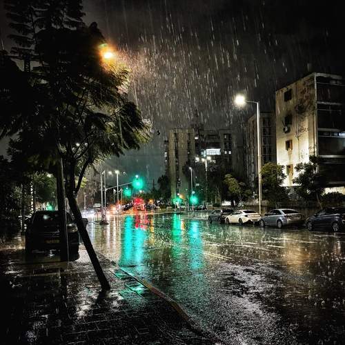 Photo #12626270