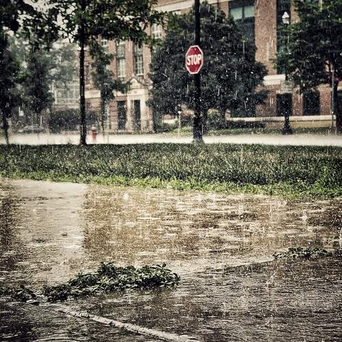 Photo #12626281