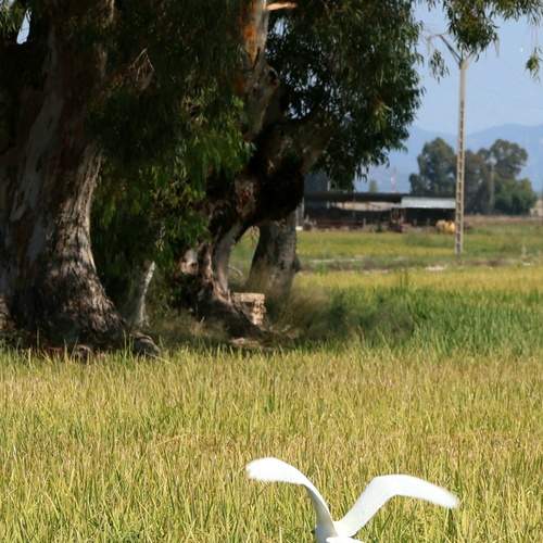 Photo #12626298