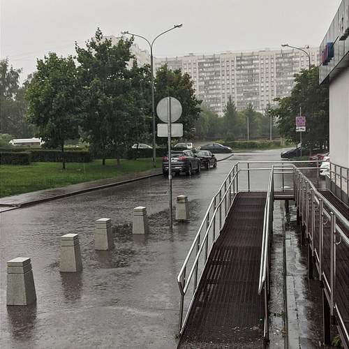 Photo #12626518