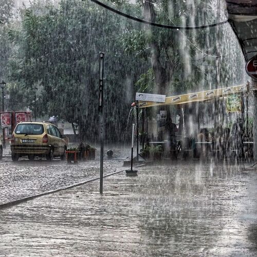 Photo #12626639
