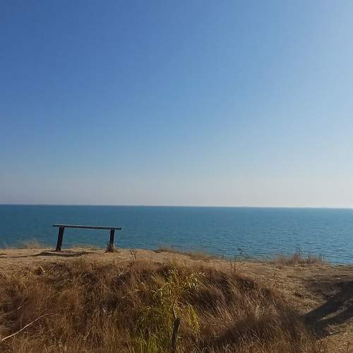 Photo #12626707