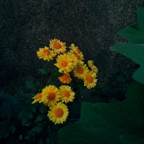 Photo #12627091