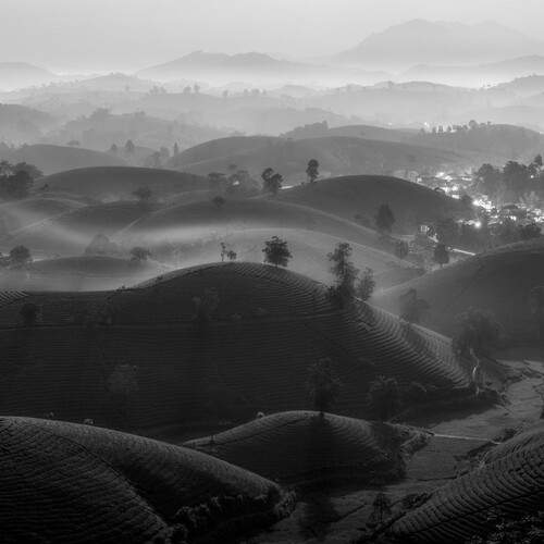 Long Coc Moonlit Night