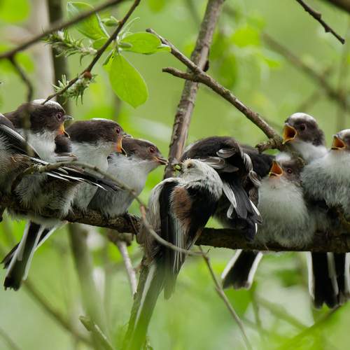 Photo #12627507