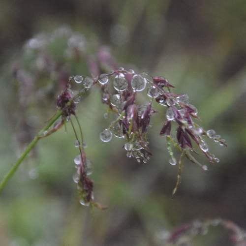 Photo #12627546
