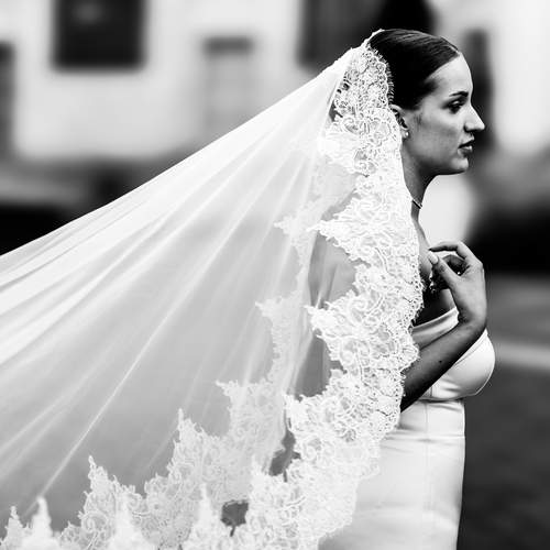 Photo #12627621