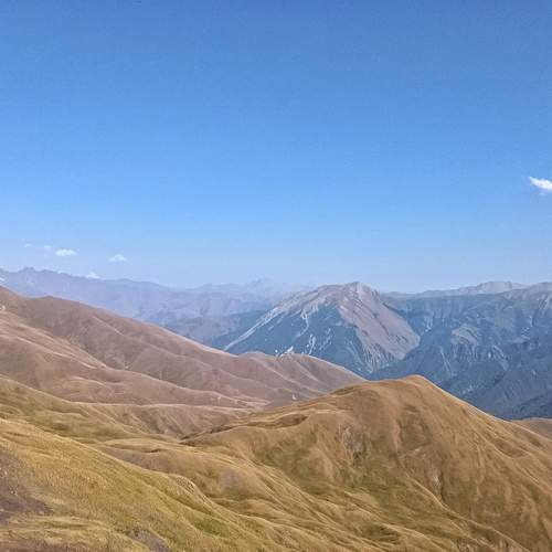 Photo #12627672