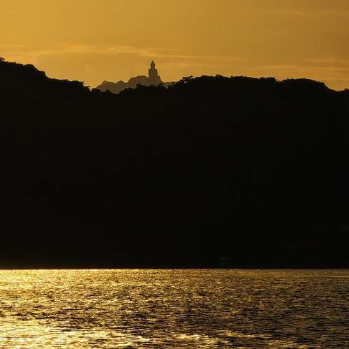 Photo #12627846