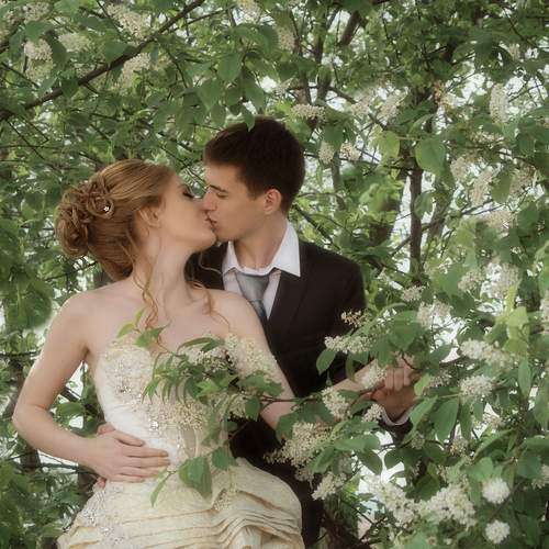 Photo #12627858
