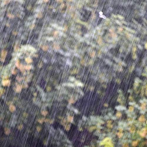 Photo #12628010