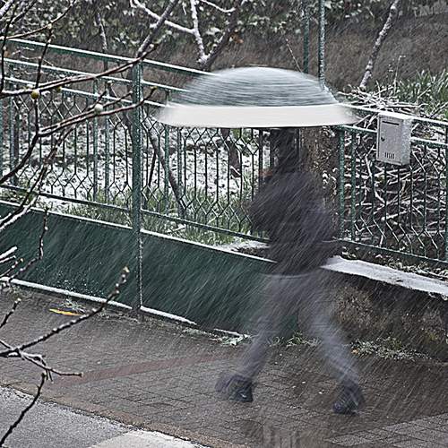 Photo #12628011