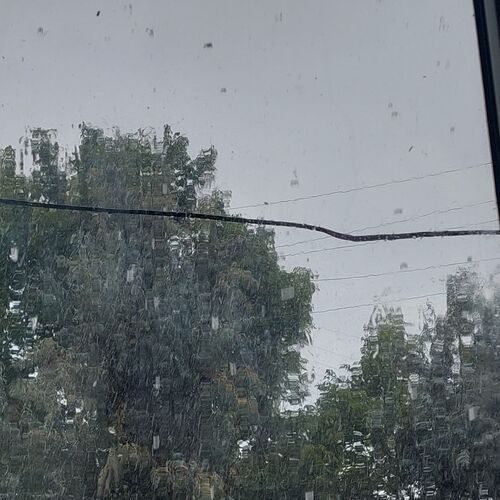 Photo #12628387