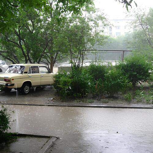 Photo #12628398