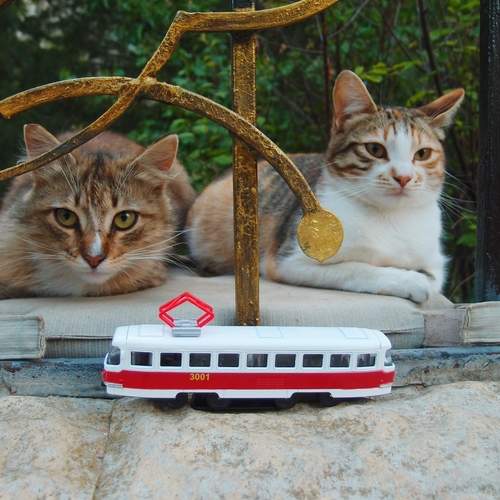 Photo #12628540