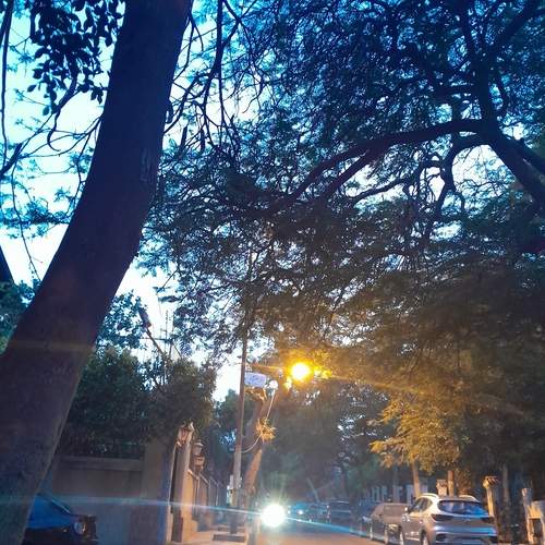 Photo #12629085