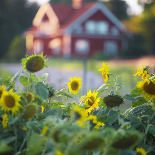 Photo #12629161
