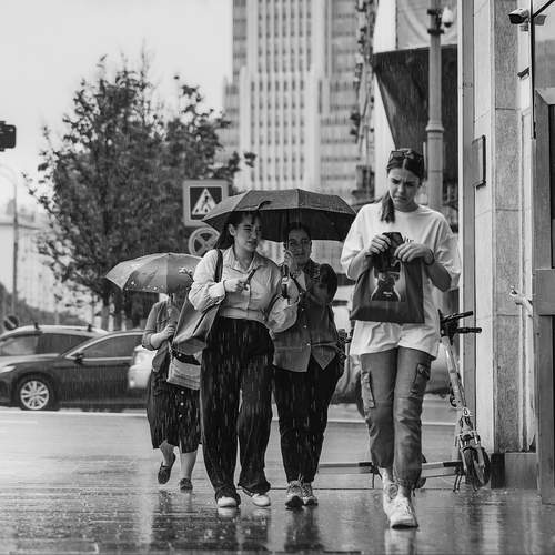 Photo #12629326