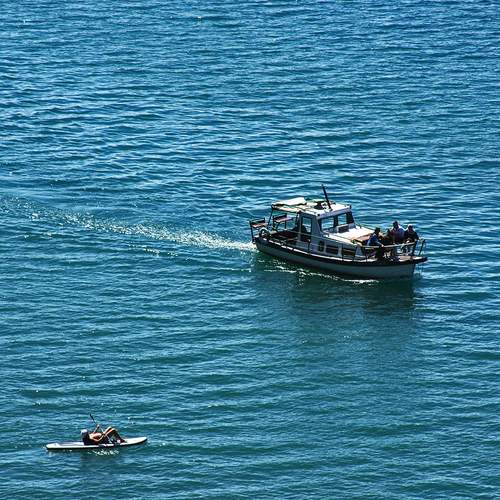 Photo #12629450