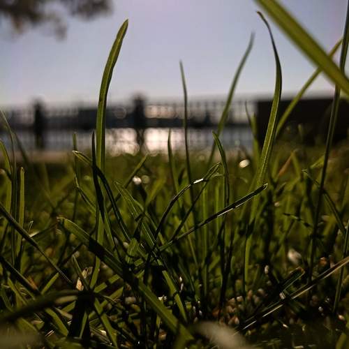 Photo #12629473