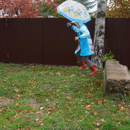Photo #12629882